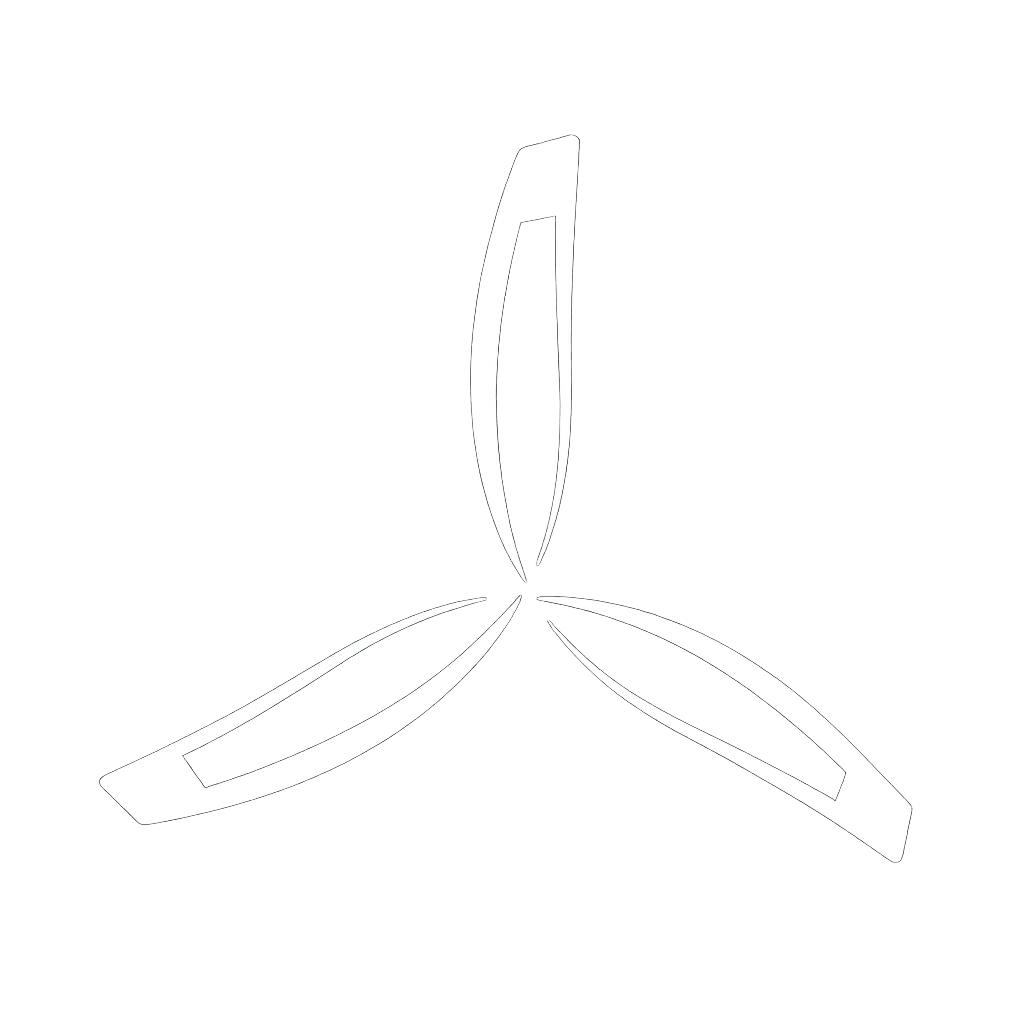 Carolina Aviators Network Logo